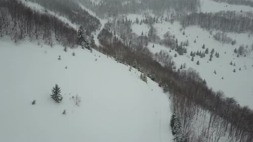 Aerial View of Empty Mountain Road Between Snowy Pine Trees