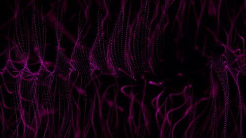 Dynamic Magenta Particle Lines Abstract Animation