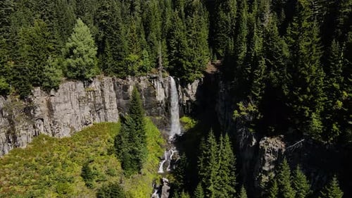 Pine Forests And Waterfall