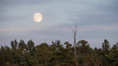 Full Moon Moves Across the Sky at Night