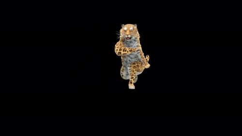 Leopard Dancing 4K