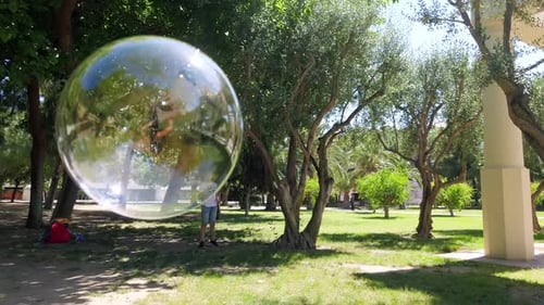 A soap bubble among the leaves