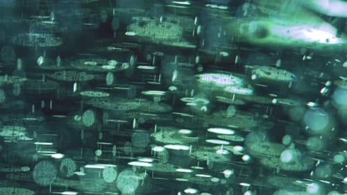 Abstract Green Shapes and Moving Textures