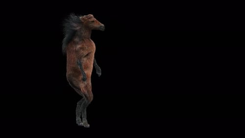 Funny 3D Animated Brown Horse Dancing on Two Legs