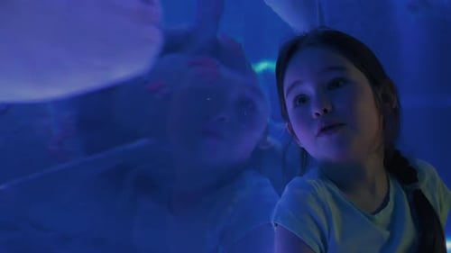 Cute Girl Watching Fishes in a Large Aquarium