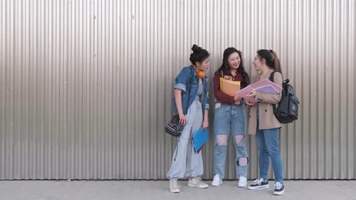 Portrait of a group of female college students talking together outdoors on the street.