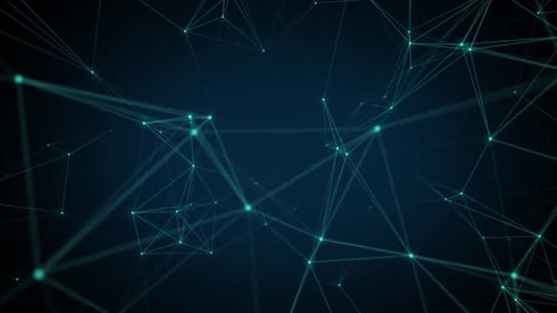 Network Information Loop