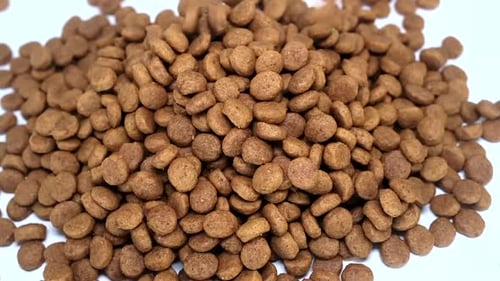 Pouring Heap of Nutritious Dry Pet Food
