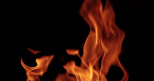 Flammen des Feuers auf schwarzem Hintergrund in Zeitlupe
