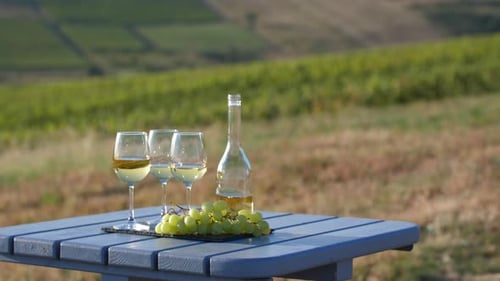 Vignoble