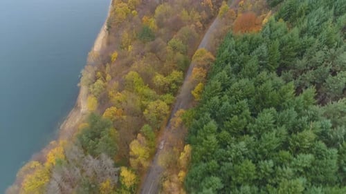 Drone Following Car Driving Slowly on Forest Road with Beautiful Autumn Forest Colors