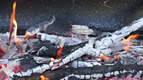 Burning Embers and Flames Engulf Charred Wood