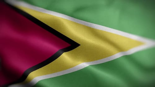 Waving Flag of Guyana Seamless Loop Background