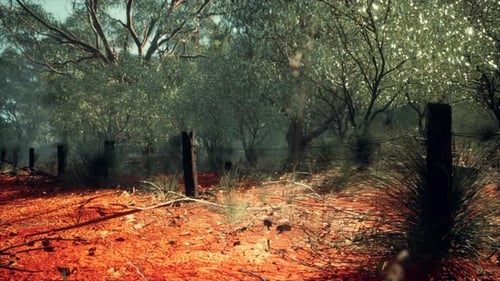 Rural Farm Boundary Fencing in Poor Condition and Long Dead Dry Grass