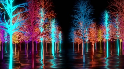Neon Trees