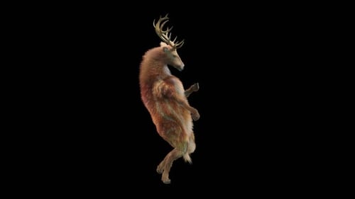 Playful 3D Deer Dancing Animation on Black Background