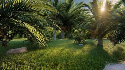 Jardín de palmeras