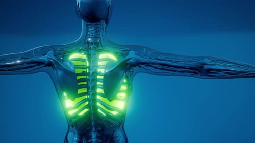Examen radiológico de pulmones humanos