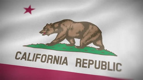 California State Flag Waving with Realistic Fabric Texture
