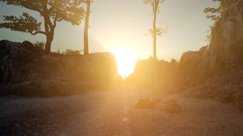 Trees on Rocks in Mountains at Sunset