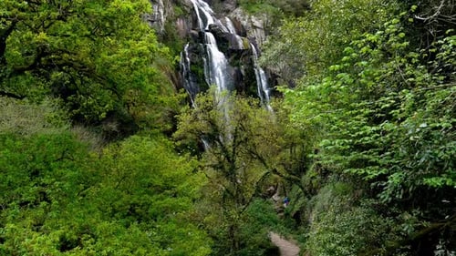 Tropical Waterfall Cascades Through Lush Green Forest
