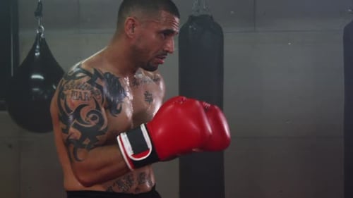 Adult Man Boxing Punching Bag in Gym Workout