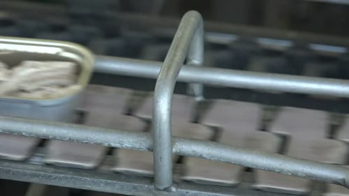 Close Up Sardines On Conveyor Belt Production Line