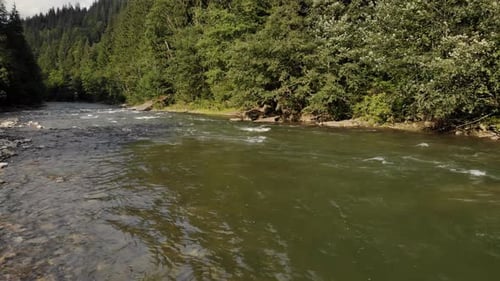 Rapid Mountain River Among Forest Summer Landscape