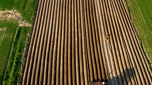 Aerial View of Tractor Performs Seeding on the Field