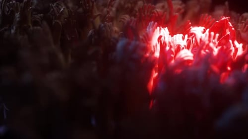 Abstract Animated Hands Reaching Background