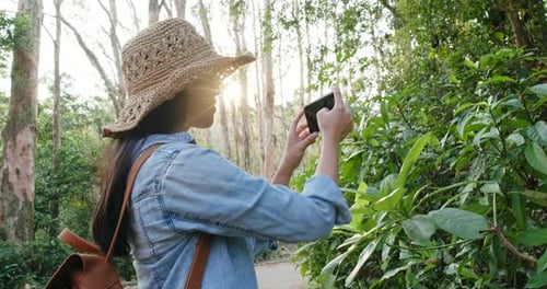 Woman enjoy the view in forest under sun flare light