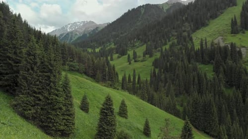 Aerial Drone Shot of Green Mountain Forest and River in Kazakhstan