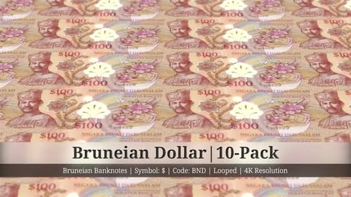Bruneian Dollar | Brunei Currency - 10 Pack | 4K Resolution | Looped
