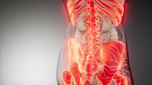 Human Body Anatomical Scan with Glowing Nervous System