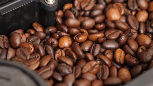 Coffee Beans in Machine Close Up