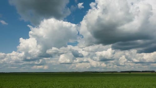 Time Lapse of Beautiful Nature Sky Over Green Grass Fly Away