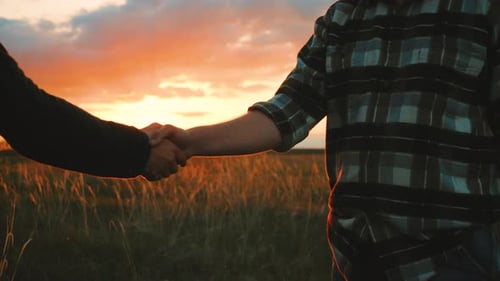 Friendly Handshake Two Farmers Shaking Hands Against the Background of a Green Wheat Field