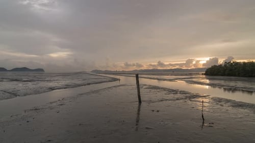 Timelapse sunset hour at the muddy mangrove area with mudskippers