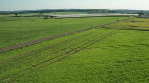 Motorcycle Traveling Through Countryside Fields