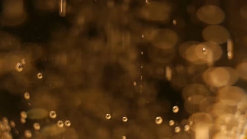 Champagne Bubbles Rise in a Glass