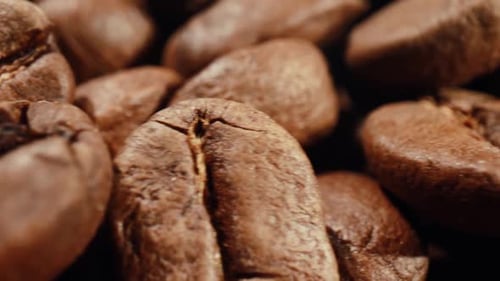 Roasted Coffee Beans Macro Close Up