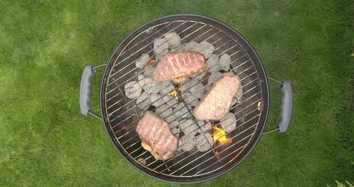 Grill Party in the Garden