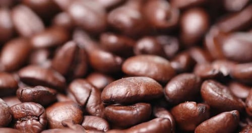 Rotating Roasted Coffee Beans Macro Close Up