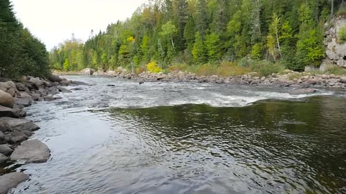 Wideshot Of Shallow Water Rushing Down Stream In The Middle Of A Forest 2