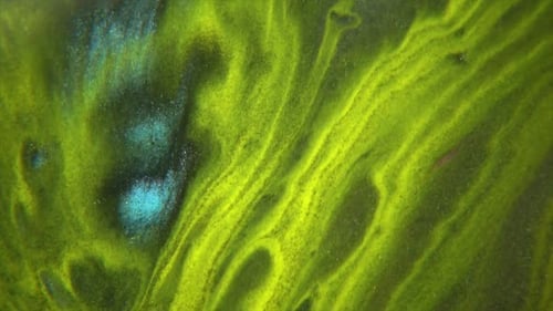 Mixture Of Colored Paints Spreading