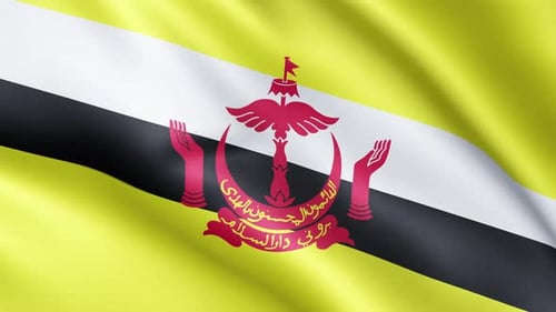 Waving Flag of Brunei Darussalam Seamless Loop Animation