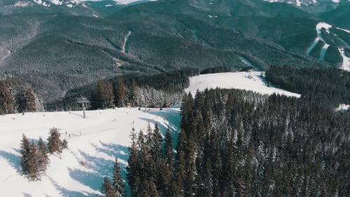 Aerial Ski Slopes with Skiers and Ski Lifts on Ski Resort. Snowy Mountain Forest