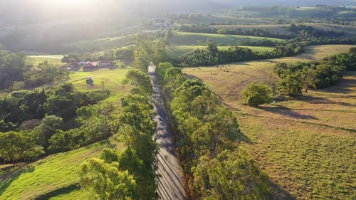 Aerial View of Rural Road Through Green Hills
