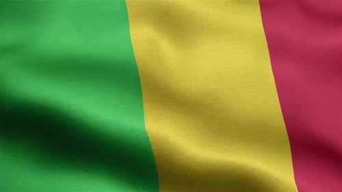 Realistic Waving Mali National Flag with Fabric Texture