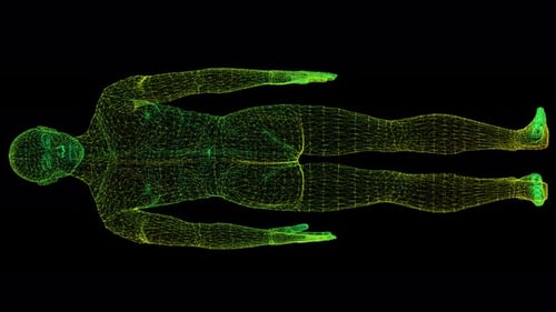 Rotating Digital Wireframe Human Body Animation